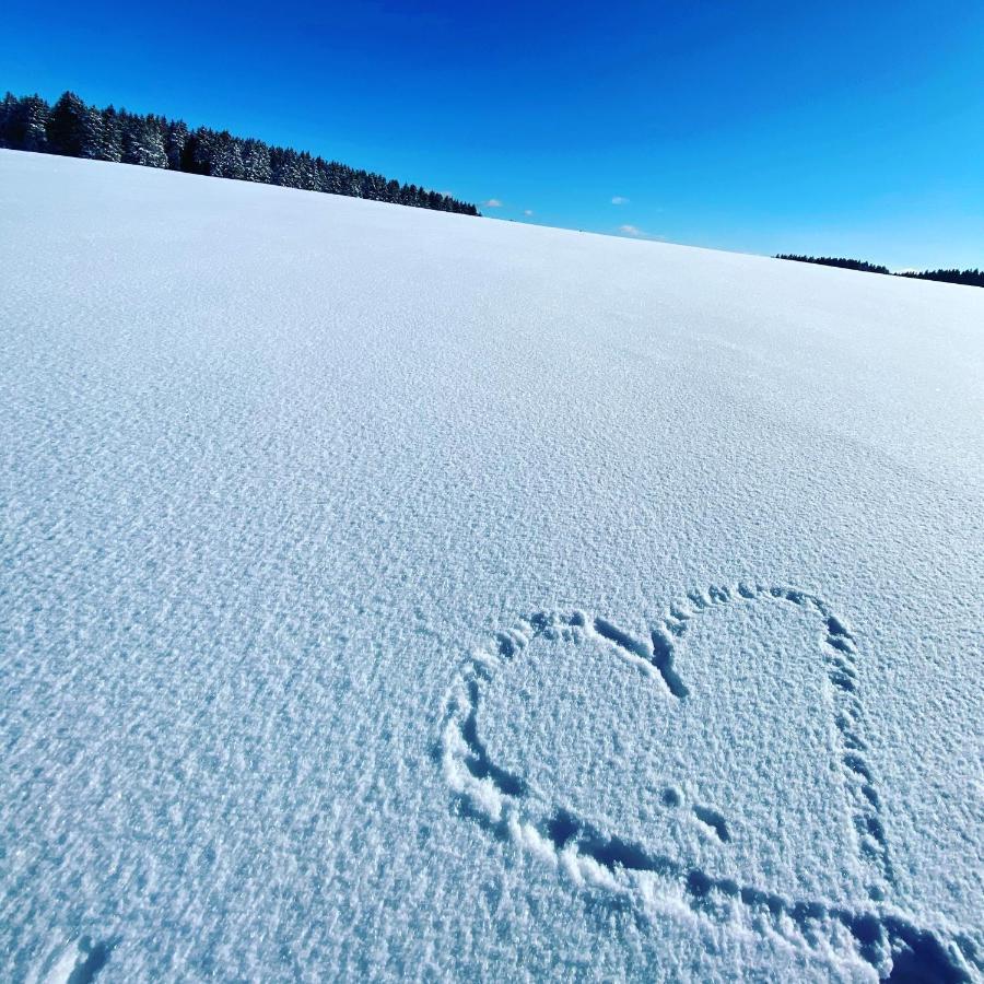 Harz Is Calling Γκόσλαρ Εξωτερικό φωτογραφία