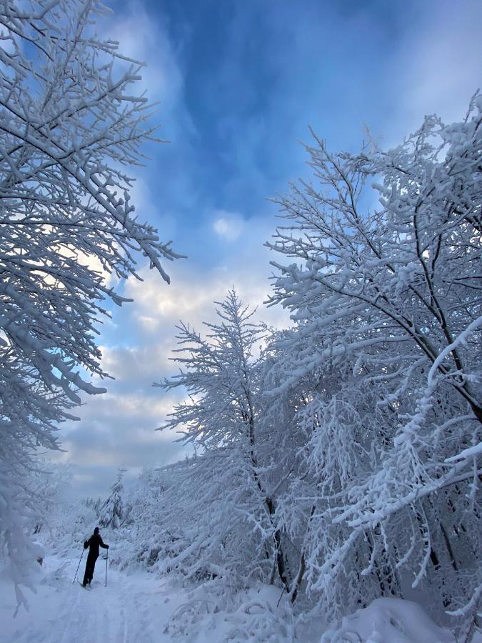 Harz Is Calling Γκόσλαρ Εξωτερικό φωτογραφία