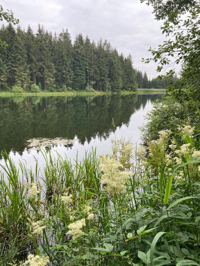 Harz Is Calling Γκόσλαρ Εξωτερικό φωτογραφία
