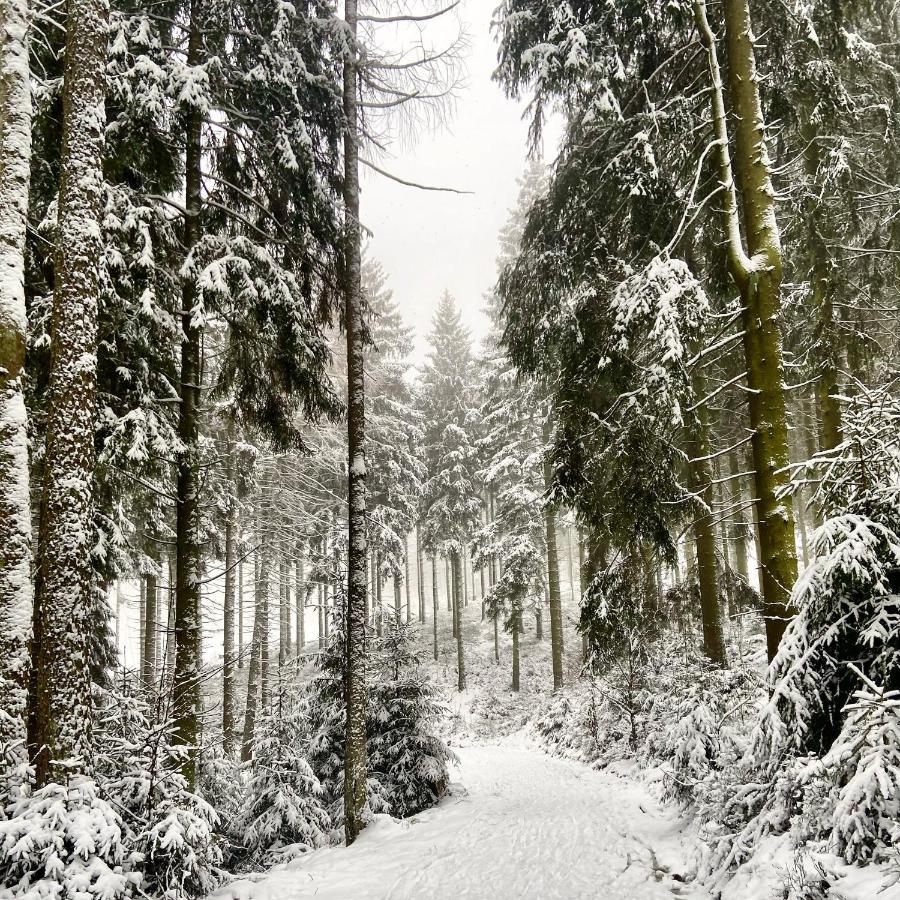 Harz Is Calling Γκόσλαρ Εξωτερικό φωτογραφία