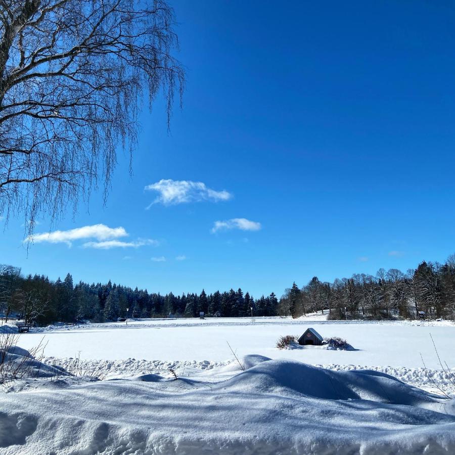 Harz Is Calling Γκόσλαρ Εξωτερικό φωτογραφία