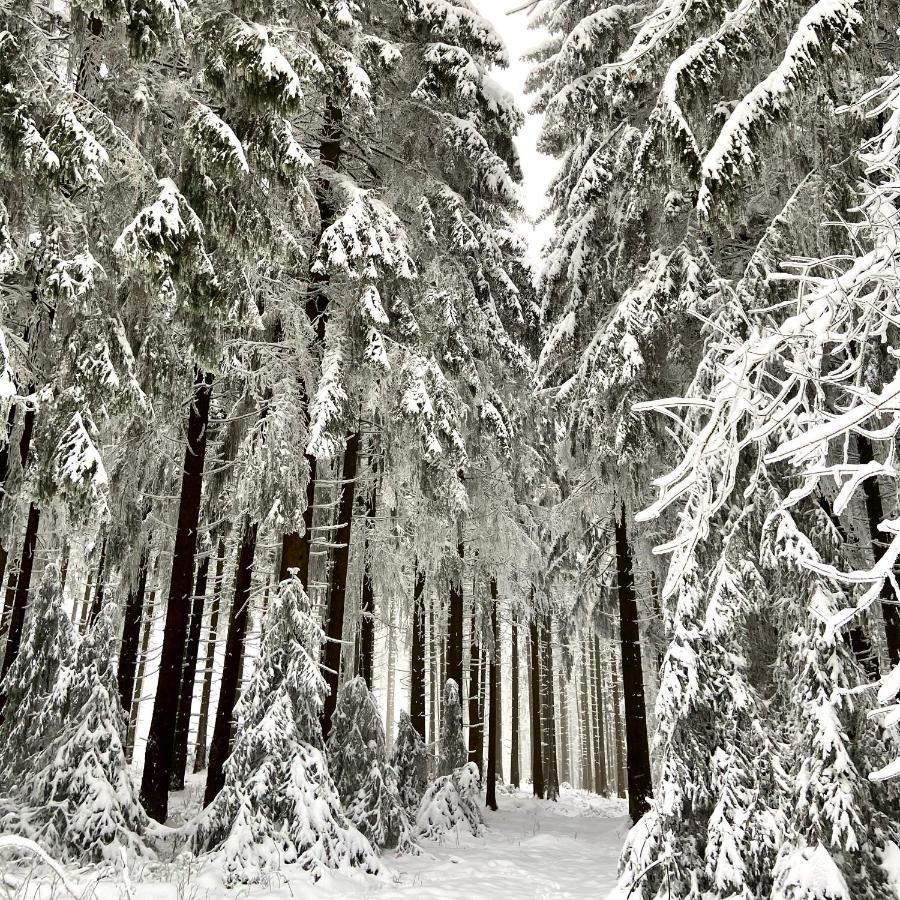 Harz Is Calling Γκόσλαρ Εξωτερικό φωτογραφία