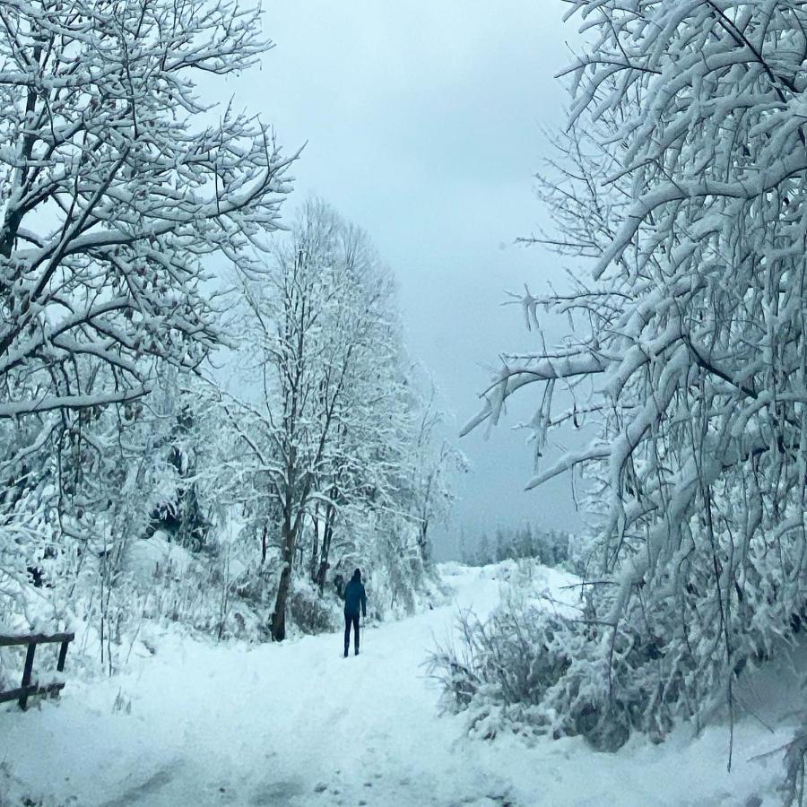 Harz Is Calling Γκόσλαρ Εξωτερικό φωτογραφία