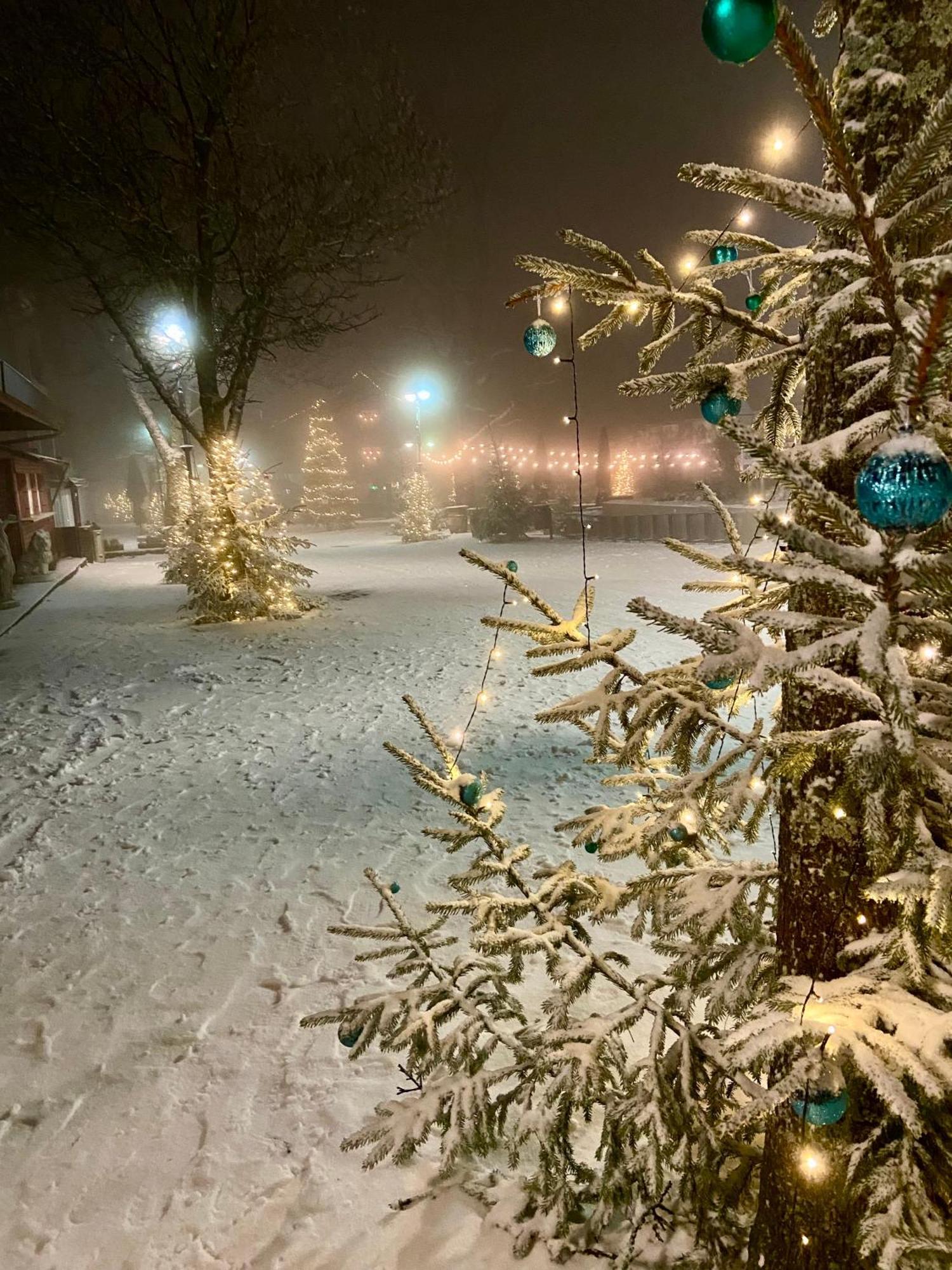 Harz Is Calling Γκόσλαρ Εξωτερικό φωτογραφία
